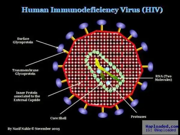 Breaking News!! No More Condoms? Scientists Finally Find a Cure for HIV!